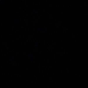 Meet your Posher, Frederick